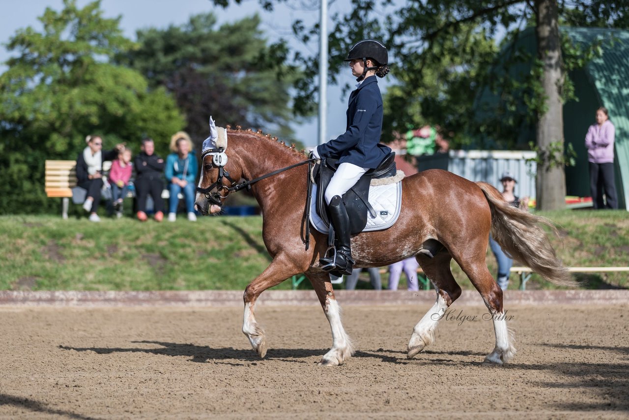 Bild 336 - Pony Akademie Turnier